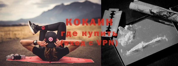 твердый Няндома