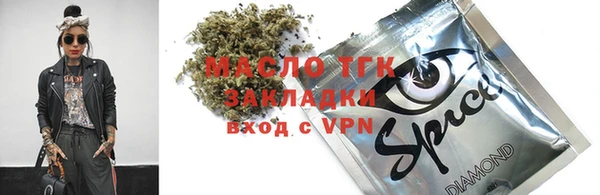 спиды Ельня
