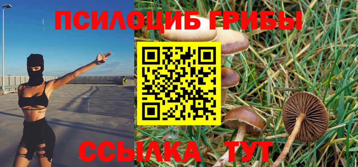 Галлюциногенные грибы прущие грибы  Псилоцибиновые грибы Magic Shrooms  Рузаевка 