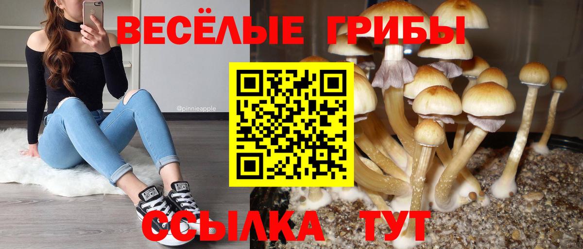 Псилоцибиновые грибы MAGIC MUSHROOMS Рузаевка