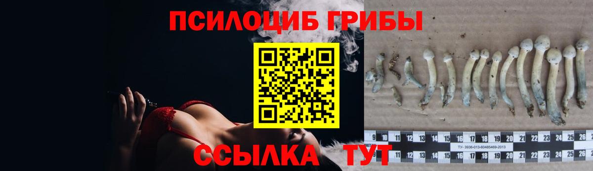 Галлюциногенные грибы MAGIC MUSHROOMS  Вход с VPN  Рузаевка  Галлюциногенные грибы MAGIC MUSHROOMS 